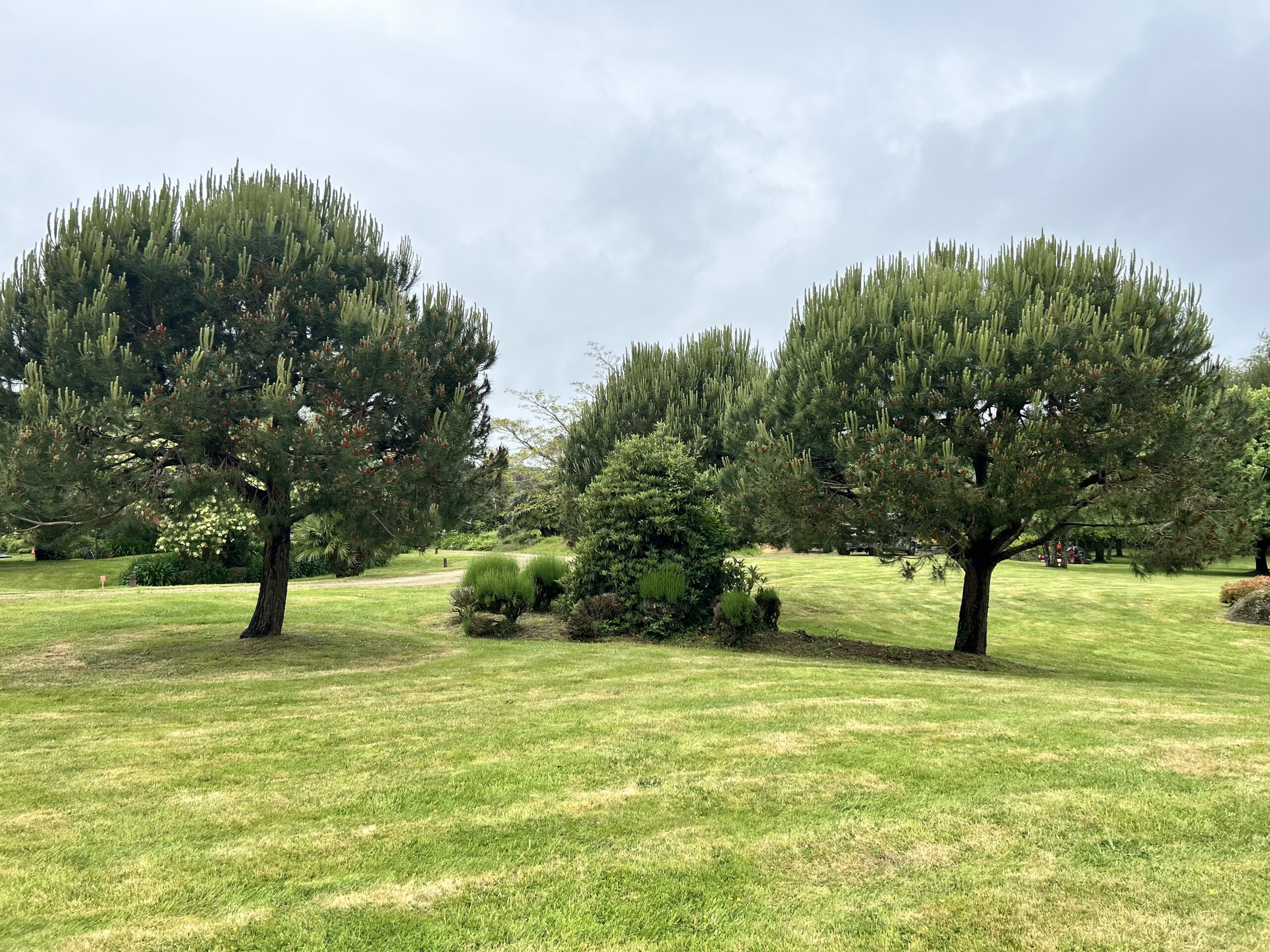 Entretien de jardin à Quimper avec avance immédiate du crédit d’impôt